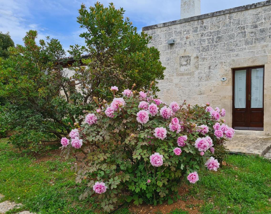 Masseria Montecchie Ceglie Messapica Bagian luar foto