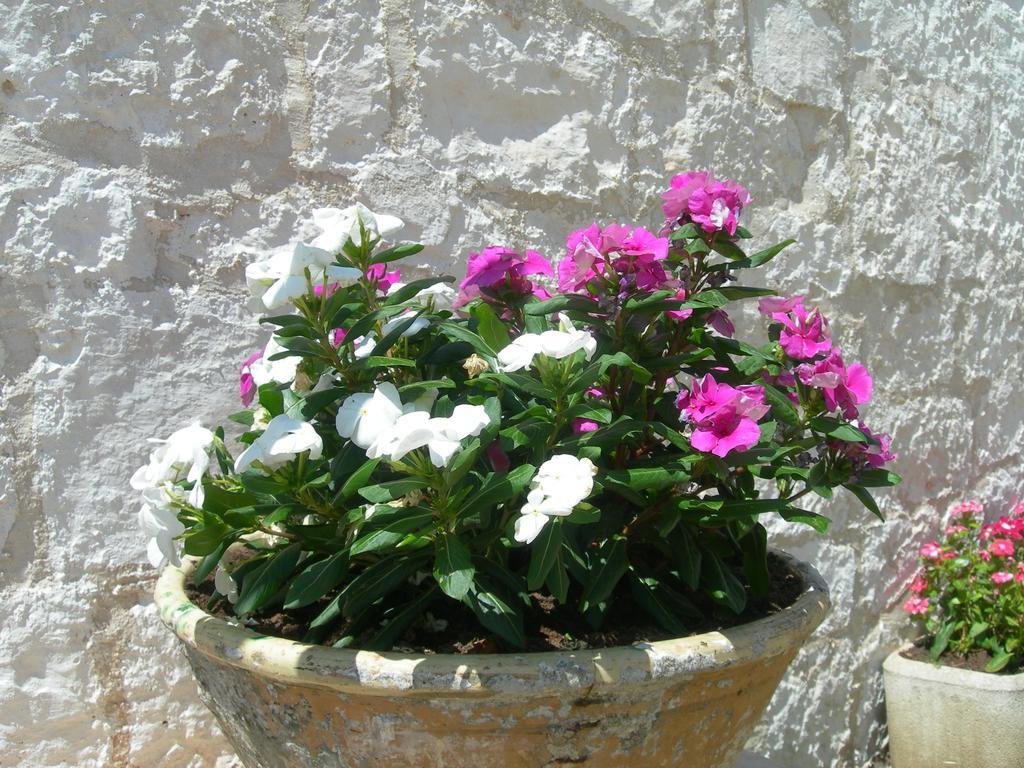 Masseria Montecchie Ceglie Messapica Bagian luar foto