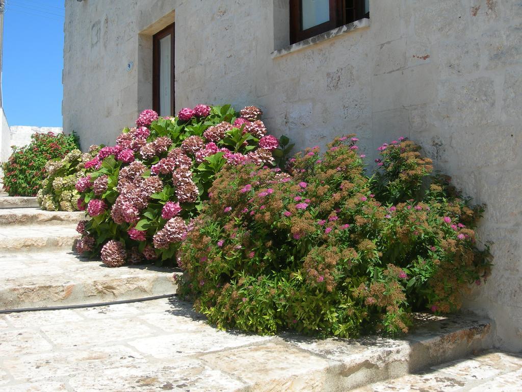 Masseria Montecchie Ceglie Messapica Bagian luar foto