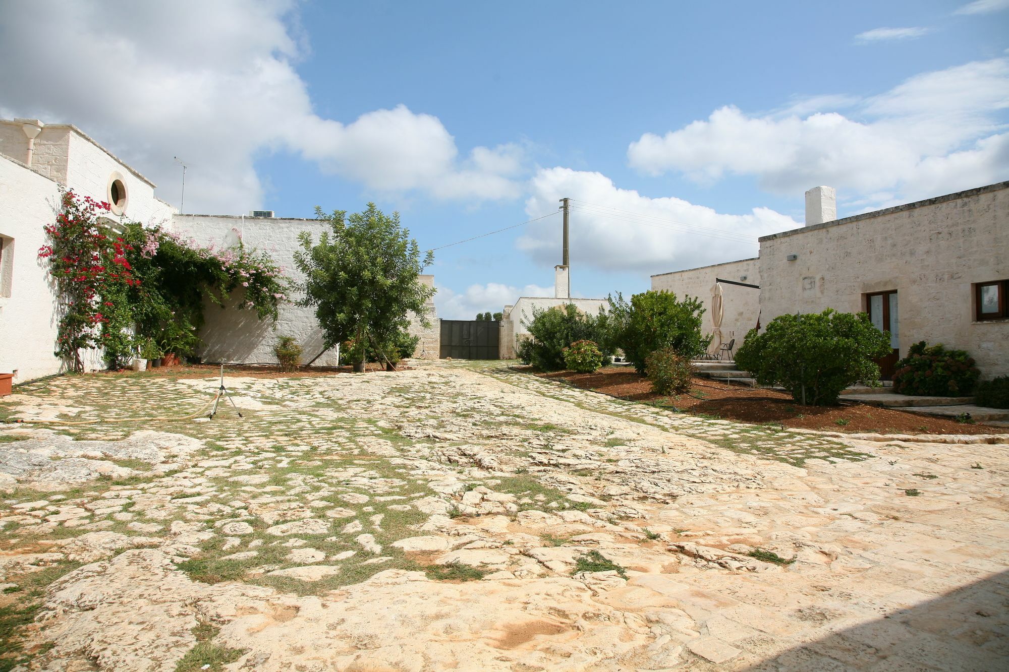 Masseria Montecchie Ceglie Messapica Bagian luar foto